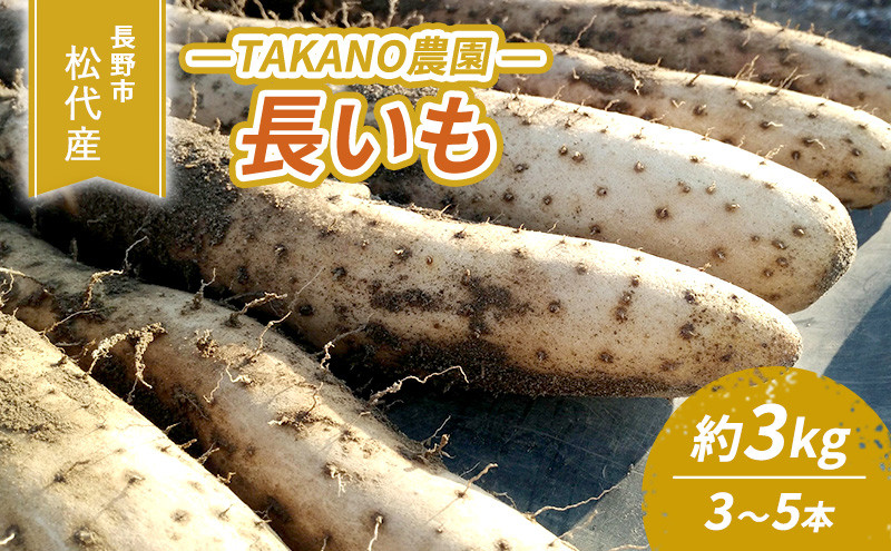 長野市松代産&nbsp;TAKANO農園　長いも&nbsp;約3kg(訳あり)【3～5本】&nbsp;野菜&nbsp;根菜&nbsp;長野県産&nbsp;ネバネバ&nbsp;シャキシャキ&nbsp;とろろご飯&nbsp;具材&nbsp;食材&nbsp;国産