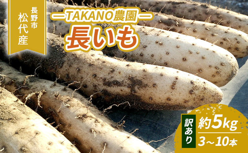 長野市松代産&nbsp;TAKANO農園　長いも&nbsp;約5kg（訳あり）【3～10本】&nbsp;野菜&nbsp;根菜&nbsp;長野県産&nbsp;ネバネバ&nbsp;シャキシャキ&nbsp;とろろご飯&nbsp;具材&nbsp;食材&nbsp;国産