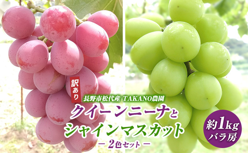 ぶどう&nbsp;訳あり&nbsp;先行予約&nbsp;シャインマスカット&nbsp;クイーンニーナ&nbsp;計約1kg&nbsp;種なし&nbsp;不揃い