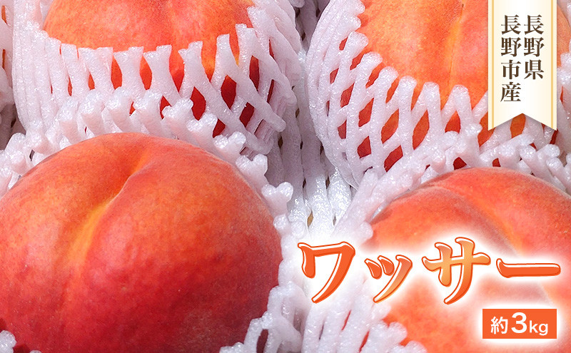 2026年発送　長野市産　ワッサー　約3kg