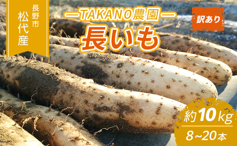 長野市松代産&nbsp;TAKANO農園　長いも&nbsp;約10kg（訳あり）【8～20本】長芋　ながいも