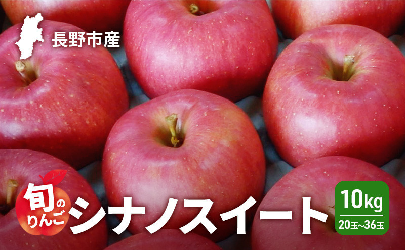 2026年発送　長野市産　旬のりんご　シナノスイート10kg　20玉～36玉&nbsp;りんご&nbsp;リンゴ&nbsp;果物&nbsp;フルーツ&nbsp;秋