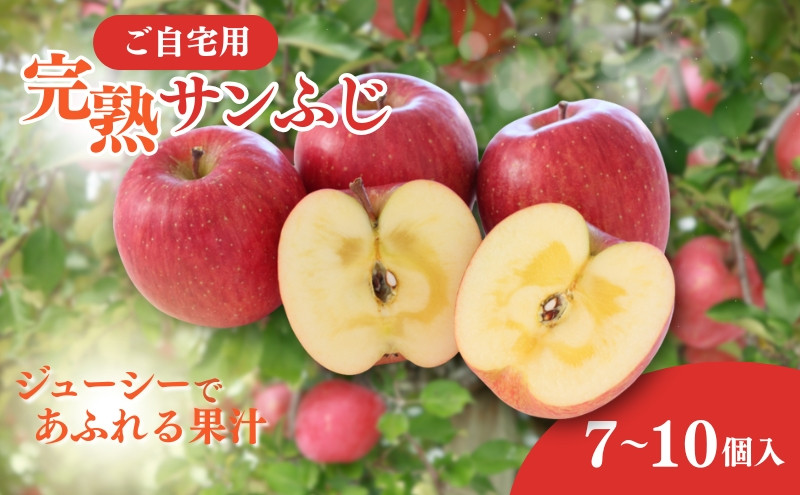 2026年産&nbsp;ご自宅用&nbsp;完熟サンふじ&nbsp;7-10個入り&nbsp;リンゴ&nbsp;フルーツ&nbsp;果物&nbsp;デザート&nbsp;信州&nbsp;長野市