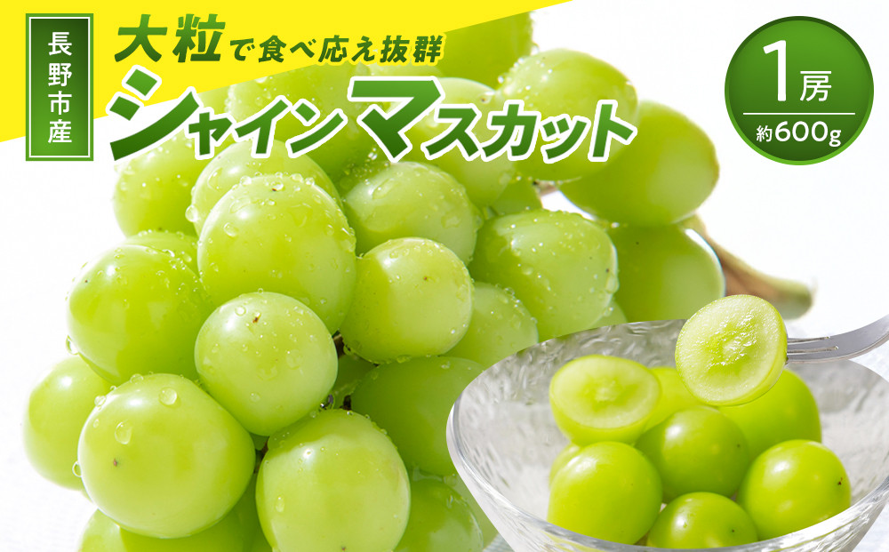 2026年産&nbsp;ぶどう&nbsp;&nbsp;長野市産&nbsp;シャインマスカット&nbsp;ビックサイズ&nbsp;一房入り&nbsp;600g以上&nbsp;葡萄&nbsp;ブドウ&nbsp;果物&nbsp;フルーツ&nbsp;デザート&nbsp;おやつ&nbsp;信州&nbsp;大房&nbsp;大粒&nbsp;上品な香り&nbsp;|&nbsp;&nbsp;ぶどう&nbsp;シャインマスカット&nbsp;大房&nbsp;大粒&nbsp;人気&nbsp;おすすめ&nbsp;葡萄&nbsp;ブドウ&nbsp;果物&nbsp;フルーツ&nbsp;デザート&nbsp;おやつ&nbsp;ビックサイズ&nbsp;大粒&nbsp;上品&nbsp;香り&nbsp;産地直送&nbsp;ギフト&nbsp;プレゼント&nbsp;長野県&nbsp;長野市&nbsp;信州&nbsp;信濃&nbsp;ふるさと納税