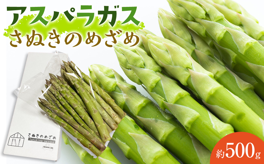 アスパラガス&nbsp;アスパラ&nbsp;さぬきのめざめ&nbsp;約&nbsp;500g&nbsp;春芽｜オリジナル品種&nbsp;香川県&nbsp;さぬき市