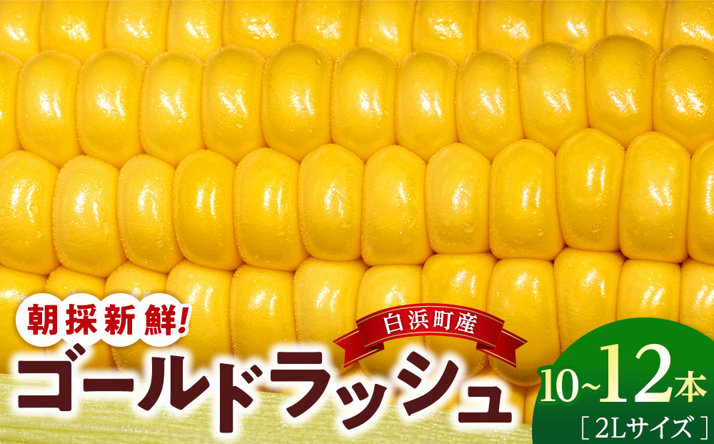 朝採&nbsp;新鮮&nbsp;白浜町産&nbsp;ゴールドラッシュ&nbsp;とうもろこし&nbsp;2Lサイズ&nbsp;10～12本&nbsp;はたごや農園