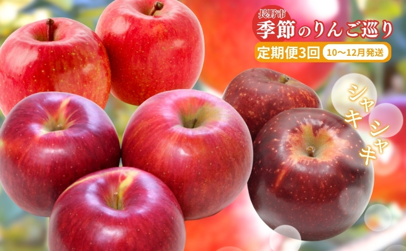 長野県&nbsp;長野市産&nbsp;◎りんごの定期便◎&nbsp;10月～12月&nbsp;3ヵ月連続5kg(12～20玉)ずつお届け　あきばえ・シナノスイート・サンふじ（矢島農園）