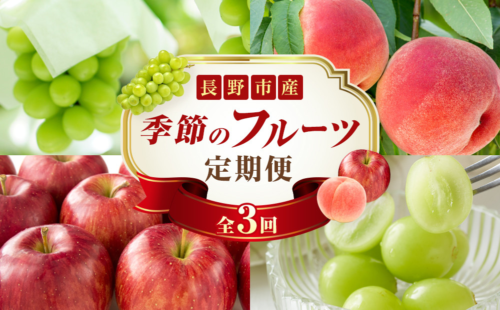 長野県&nbsp;長野市産&nbsp;〇季節のフルーツ〇8月～10月定期便　桃・シャインマスカット・シナノスイート&nbsp;※オンライン限定　(矢島農園)