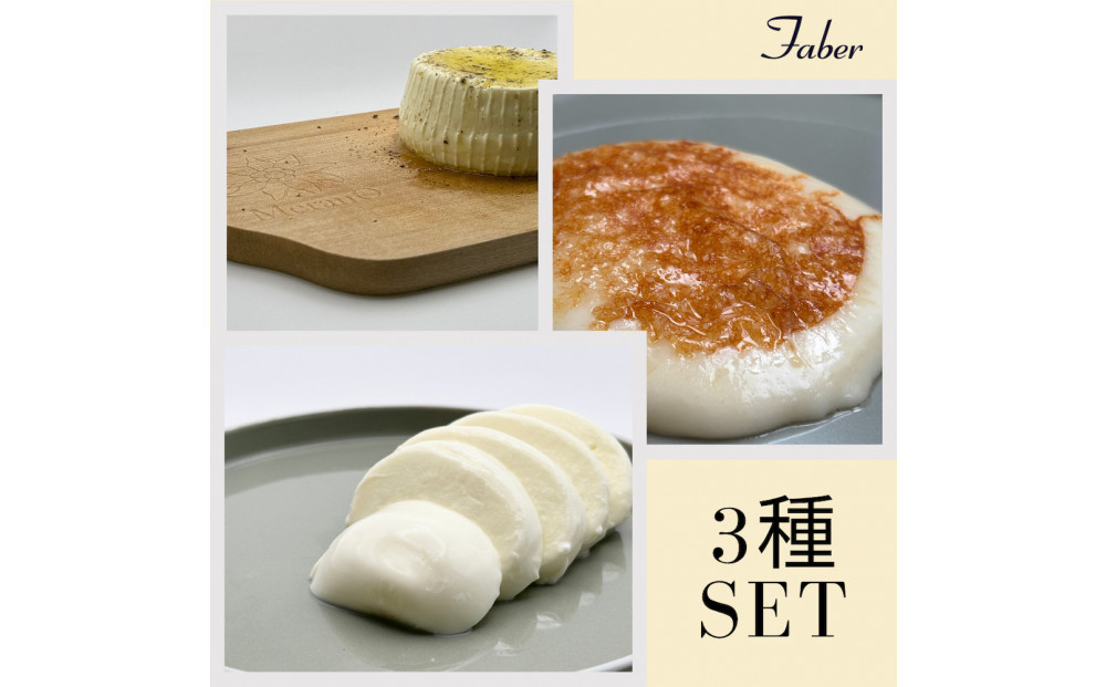 ＜定期便12回＞【MOFコンテスト金賞受賞】ファーベル3種のチーズセット