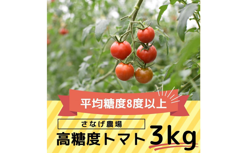高糖度トマト【瑞甘】3kg