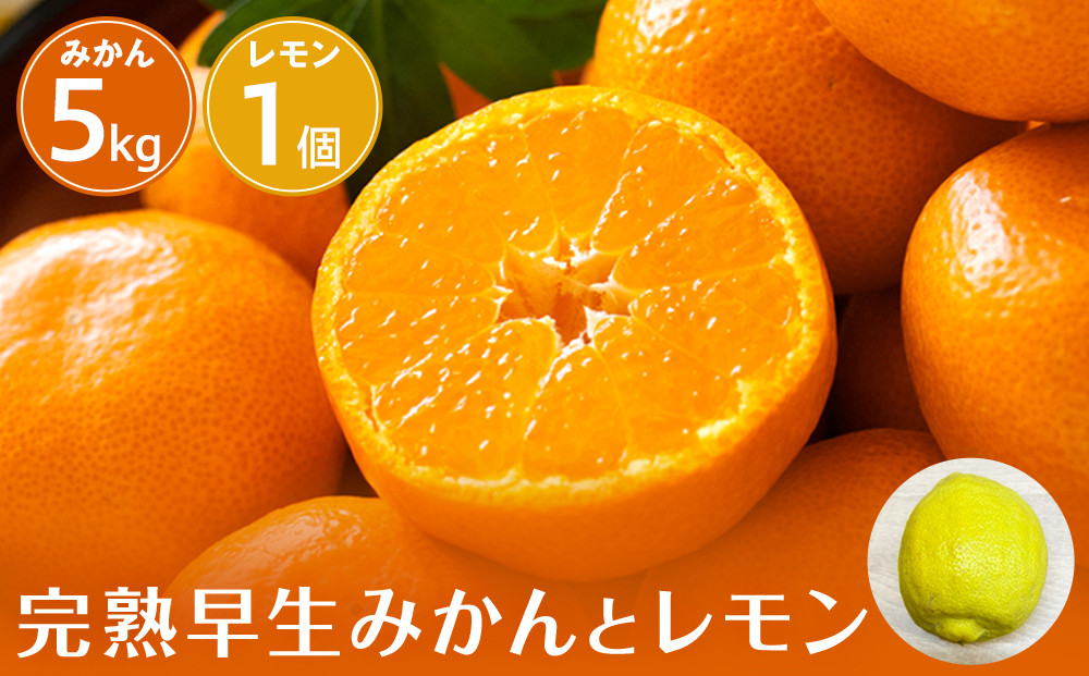 【先行予約】完熟早生みかん５ｋｇと璃の香（レモン）１個【2026年12月下旬以降発送】|&nbsp;湯河原町&nbsp;みかん&nbsp;レモン&nbsp;果物セット&nbsp;フルーツ&nbsp;ギフト&nbsp;果物