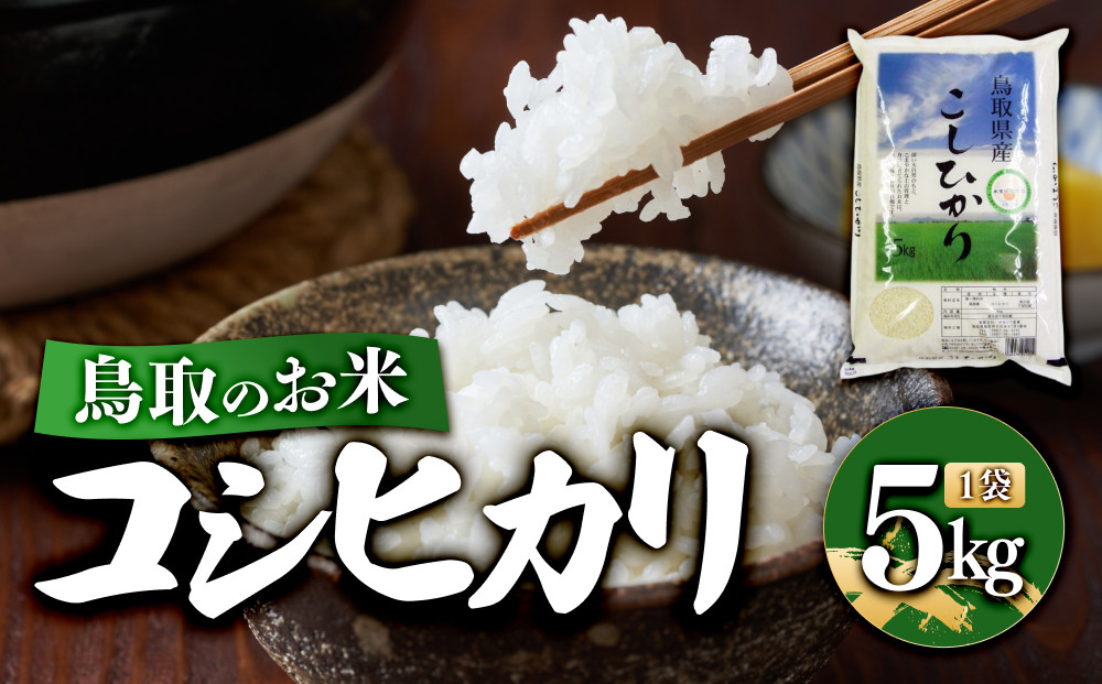 鳥取のお米&nbsp;コシヒカリ&nbsp;5kg&nbsp;精米【R7年産&nbsp;2025年産&nbsp;米&nbsp;こめ&nbsp;ご飯&nbsp;ごはん&nbsp;おにぎり&nbsp;おむすび&nbsp;夕食&nbsp;5キロ&nbsp;鳥取県産&nbsp;北栄町&nbsp;おすすめ&nbsp;人気】