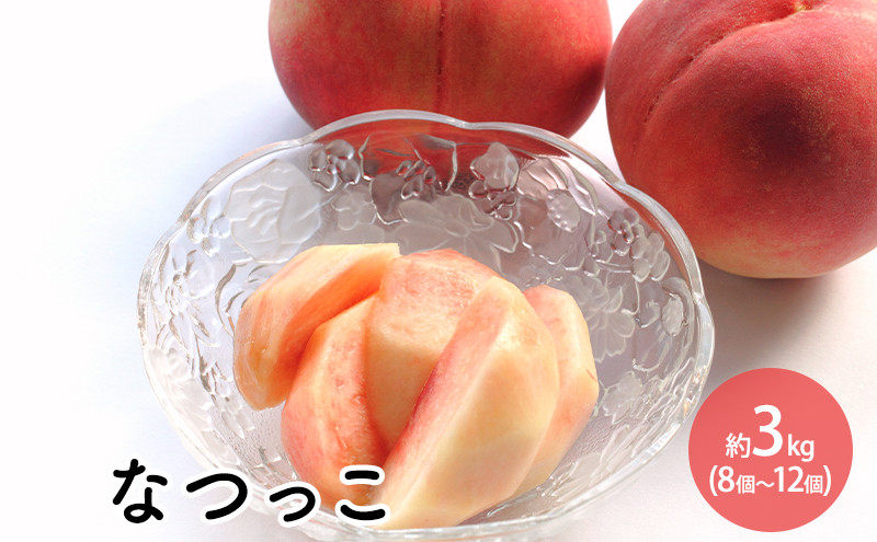 なつっこ約3kg（8個～12個）