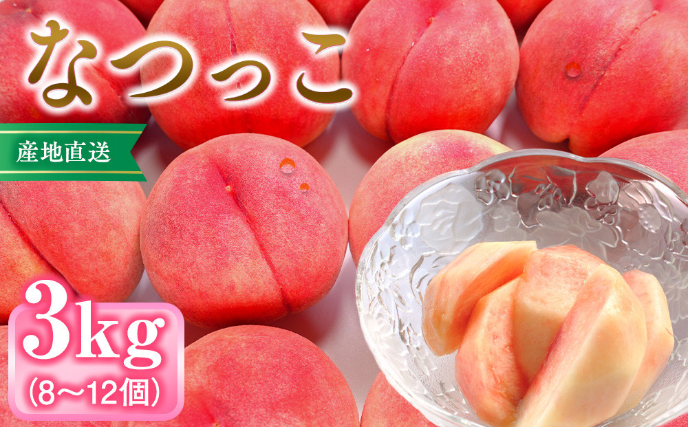 前島農家　なつっこ約3kg（8個～12個）&nbsp;|&nbsp;&nbsp;桃&nbsp;フルーツ&nbsp;果物&nbsp;旬&nbsp;&nbsp;人気&nbsp;おすすめ&nbsp;ギフト&nbsp;プレゼント&nbsp;送料無料&nbsp;長野県&nbsp;長野市&nbsp;信州&nbsp;信濃&nbsp;ふるさと納税