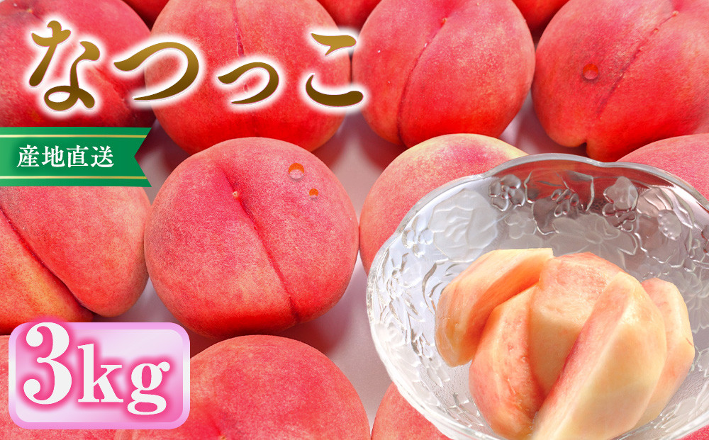 前島農家　なつっこ約3kg（8個～12個）&nbsp;|&nbsp;&nbsp;桃&nbsp;フルーツ&nbsp;果物&nbsp;旬&nbsp;&nbsp;人気&nbsp;おすすめ&nbsp;ギフト&nbsp;プレゼント&nbsp;送料無料&nbsp;長野県&nbsp;長野市&nbsp;信州&nbsp;信濃&nbsp;ふるさと納税