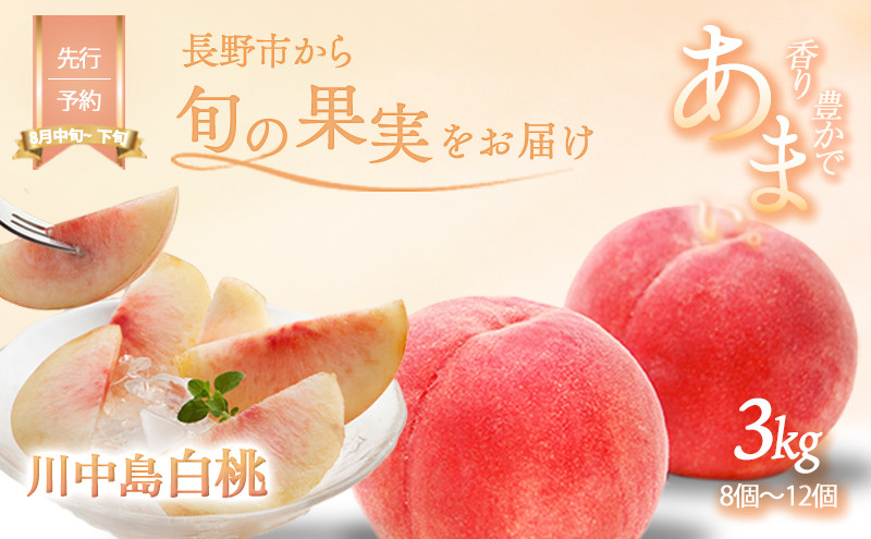 川中島白桃約3kg（8個～12個）