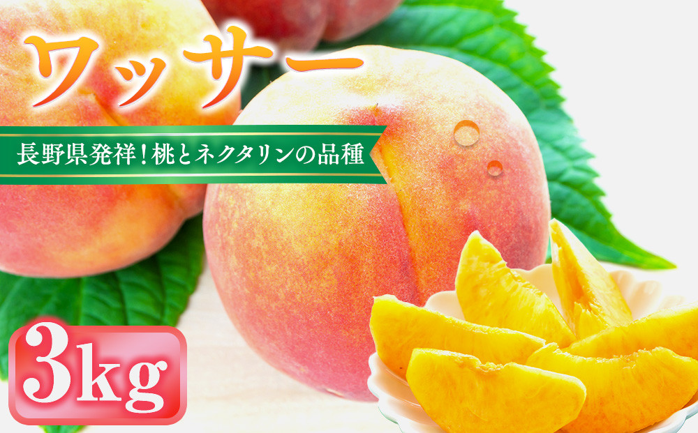 前島農家　ワッサー約3kg（9個～12個）&nbsp;|&nbsp;&nbsp;桃&nbsp;フルーツ&nbsp;果物&nbsp;旬&nbsp;人気&nbsp;おすすめ&nbsp;ギフト&nbsp;プレゼント&nbsp;送料無料&nbsp;長野県&nbsp;長野市&nbsp;信州&nbsp;信濃&nbsp;ふるさと納税