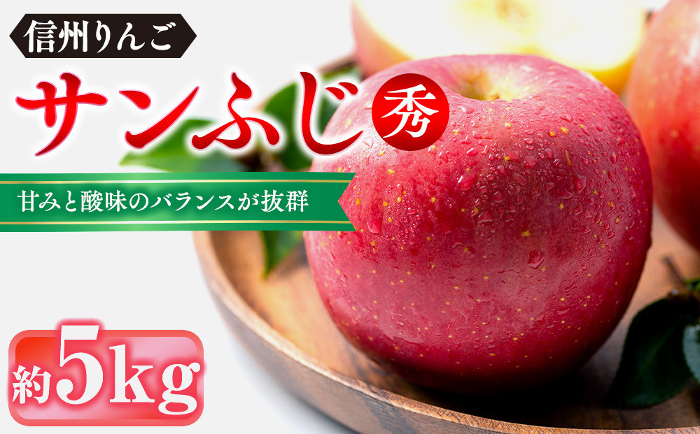 信州りんご・サンふじ（秀）約5kg（12個～18個）&nbsp;|&nbsp;&nbsp;りんご&nbsp;フルーツ&nbsp;果物&nbsp;旬&nbsp;サンふじ&nbsp;人気&nbsp;おすすめ&nbsp;ギフト&nbsp;プレゼント&nbsp;送料無料&nbsp;長野県&nbsp;長野市&nbsp;信州&nbsp;信濃&nbsp;ふるさと納税