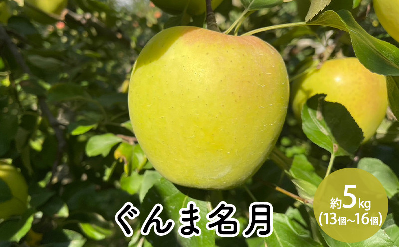 ぐんま名月約5kg（13個～16個）