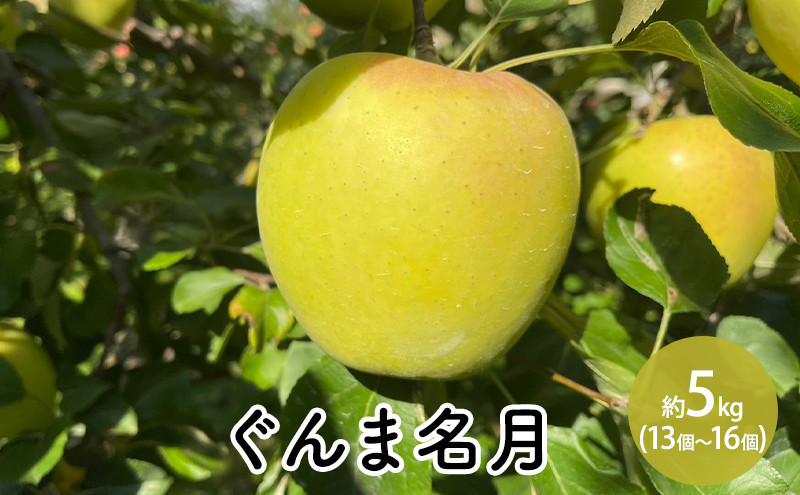 ぐんま名月約5kg（13個～16個）