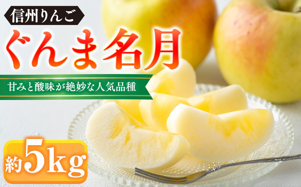ぐんま名月約5kg（12個～18個）&nbsp;|&nbsp;&nbsp;りんご&nbsp;フルーツ&nbsp;果物&nbsp;旬&nbsp;&nbsp;ぐんま名月&nbsp;人気&nbsp;おすすめ&nbsp;ギフト&nbsp;プレゼント&nbsp;送料無料&nbsp;長野県&nbsp;長野市&nbsp;信州&nbsp;信濃&nbsp;ふるさと納税