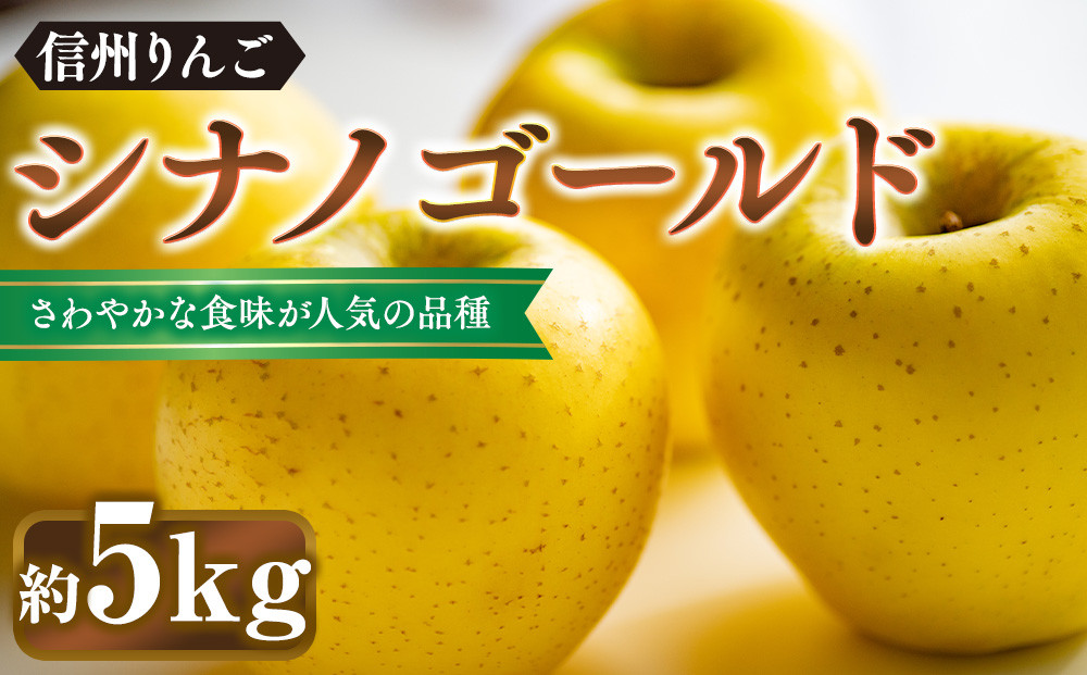 シナノゴールド約5kg（12個～18個）
