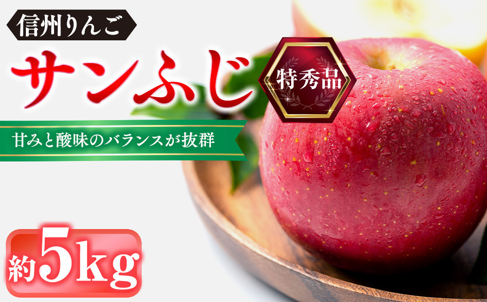 信州りんご・サンふじ（特秀品）約5kg（12個～18個）
