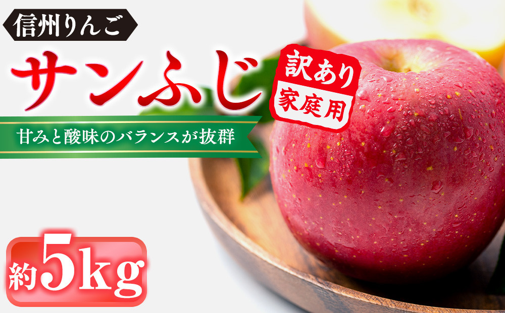 信州りんご・サンふじ（家庭用）約5kg（12個～18個）