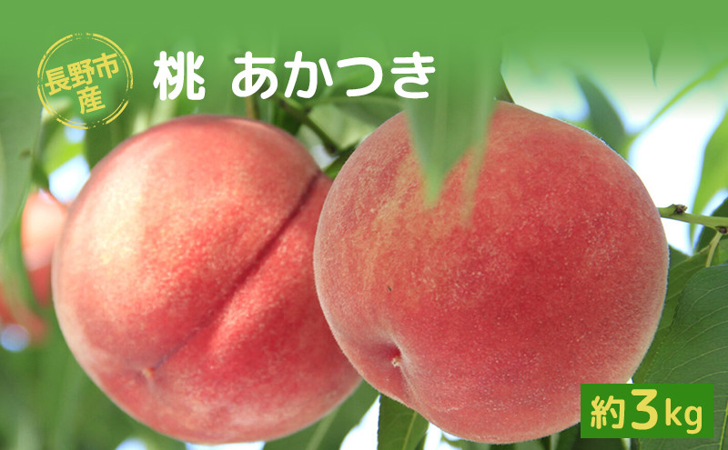 長野市産桃「あかつき」約3kg(8-10個）