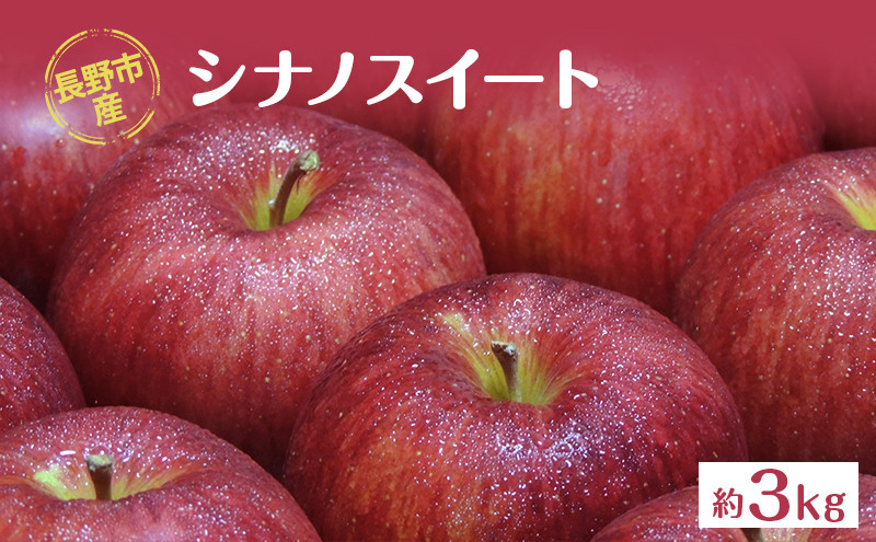 長野市産「シナノスイート」約3kg　（8～10玉）