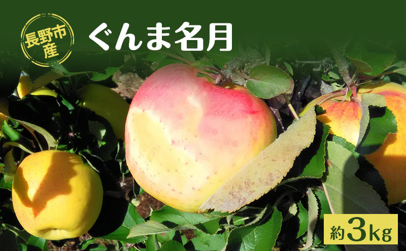 長野市産「ぐんま名月」約3kg（8～10玉）