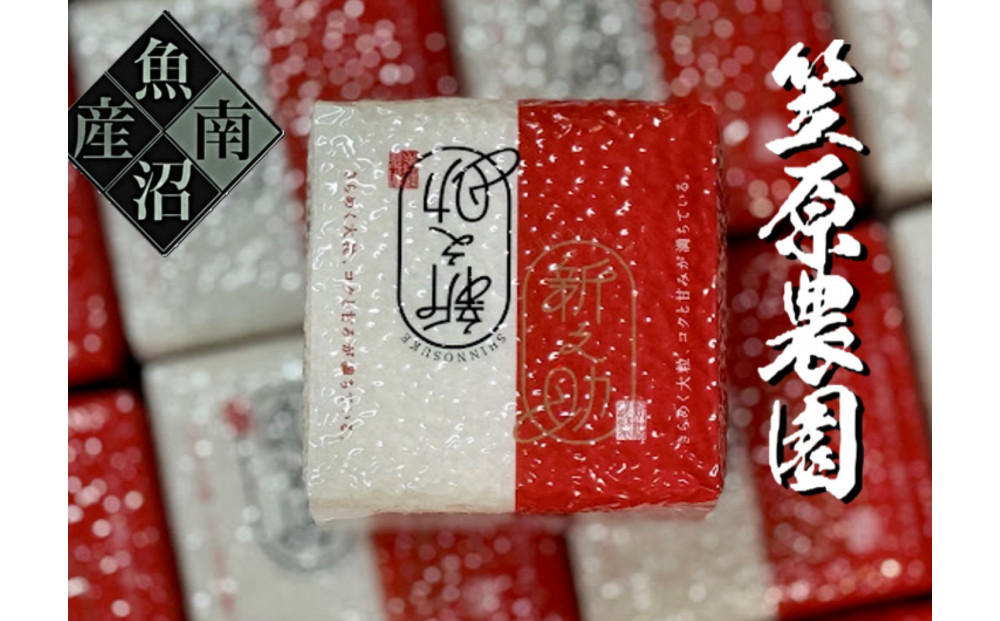 【令和７年産】南魚沼産&nbsp;笠原農園米&nbsp;新之助　２合真空パック２０個