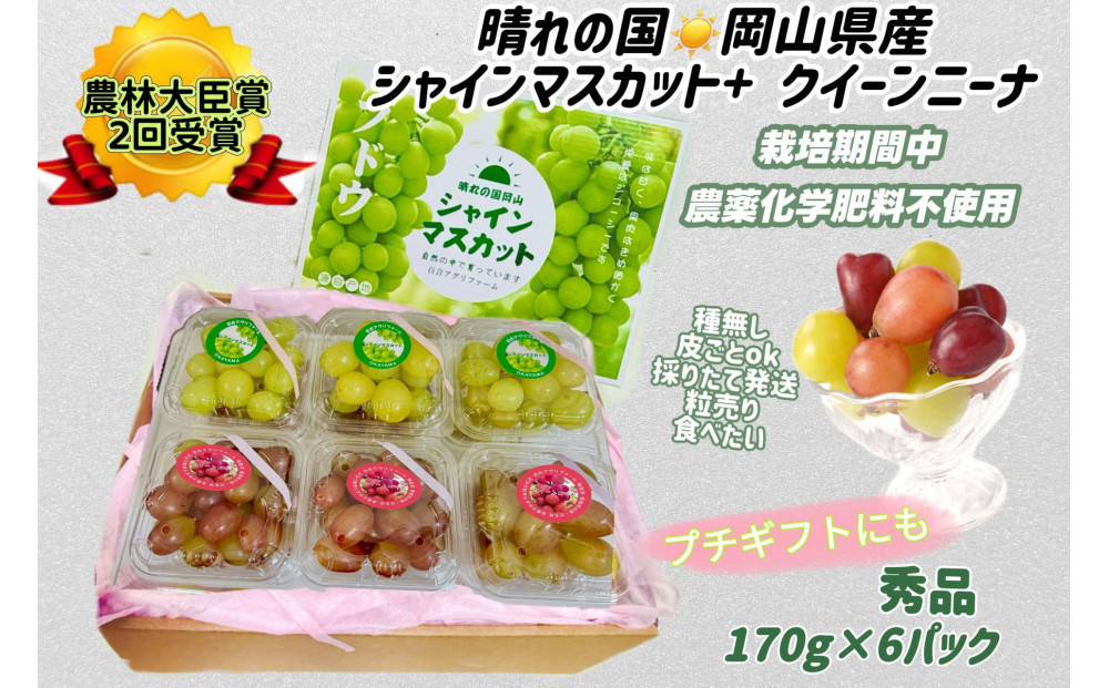 ぶどう2026年&nbsp;&nbsp;シャインマスカット+クインニーナ&nbsp;小分け&nbsp;秀品&nbsp;粒だけ&nbsp;約170g6パック&nbsp;岡山&nbsp;果物&nbsp;フルーツ8月上旬から発送