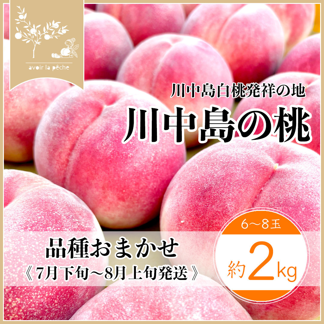 【先行予約】川中島の桃&nbsp;約2kg&nbsp;品種おまかせ&nbsp;&nbsp;7月下旬～8月上旬発送予定