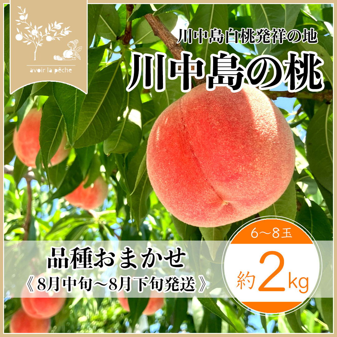 【先行予約】川中島の桃&nbsp;約2kg&nbsp;品種おまかせ&nbsp;&nbsp;8月中旬～8月下旬発送予定