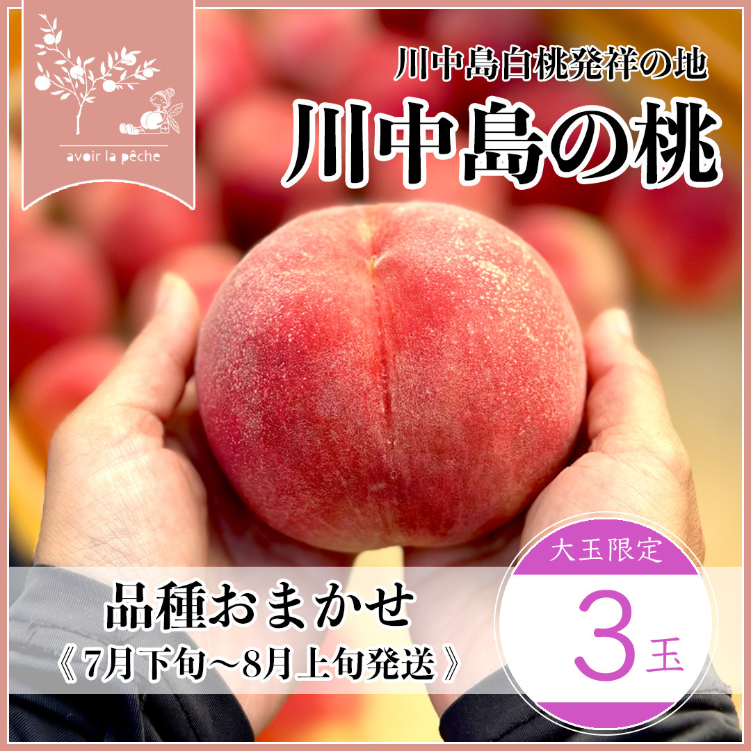【先行予約】川中島の桃&nbsp;大玉3玉&nbsp;品種おまかせ&nbsp;7月下旬～8月上旬発送予定