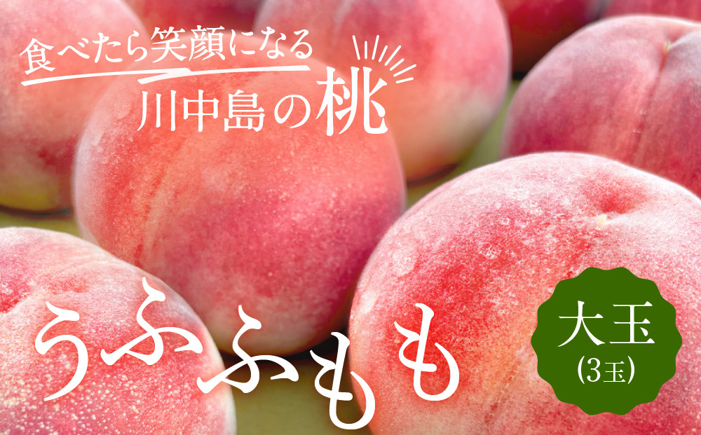 すーさんの果樹屋　【先行予約】川中島の桃&nbsp;大玉3玉&nbsp;品種おまかせ&nbsp;7月下旬～8月上旬発送予定&nbsp;|&nbsp;桃&nbsp;もも&nbsp;フルーツ&nbsp;果実&nbsp;&nbsp;人気&nbsp;おすすめ&nbsp;ギフト&nbsp;産地直送&nbsp;送料無料&nbsp;長野県&nbsp;長野市&nbsp;信州&nbsp;信濃&nbsp;ふるさと納税