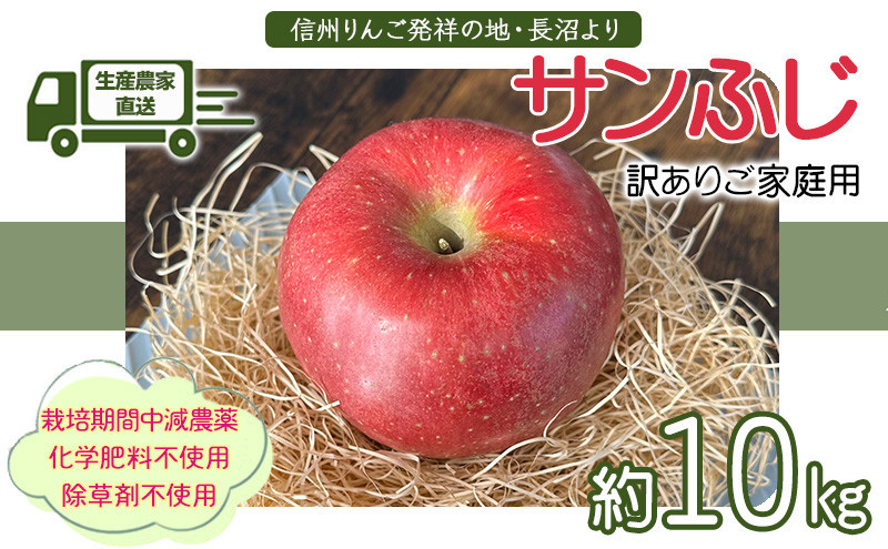 生産農家直送&nbsp;人にやさしい&nbsp;長沼りんご・サンふじ10kg（訳ありご家庭用）