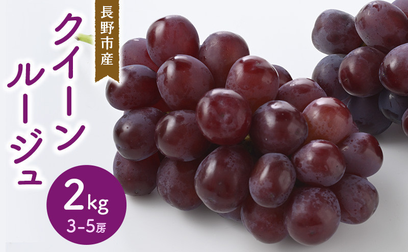 クイーンルージュ2kg　3-5房&nbsp;|&nbsp;&nbsp;ぶどう&nbsp;クイーンルージュ&nbsp;&nbsp;フルーツ&nbsp;果物&nbsp;人気&nbsp;おすすめ&nbsp;ブドウ&nbsp;ギフト&nbsp;プレゼント&nbsp;送料無料&nbsp;長野県&nbsp;長野市&nbsp;信州&nbsp;信濃&nbsp;ふるさと納税