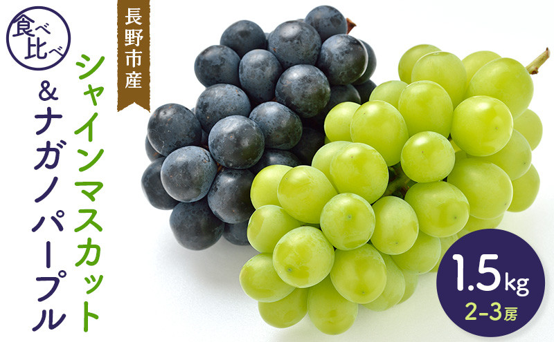 【セット】シャインマスカット＆ナガノパープル&nbsp;1.5kg&nbsp;2-3房