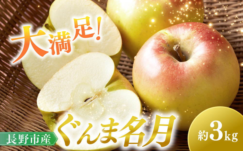 ぐんま名月3kg&nbsp;|&nbsp;&nbsp;りんご&nbsp;フルーツ&nbsp;果物&nbsp;&nbsp;人気&nbsp;おすすめ&nbsp;ギフト&nbsp;プレゼント&nbsp;送料無料&nbsp;長野県&nbsp;長野市&nbsp;信州&nbsp;信濃&nbsp;ふるさと納税