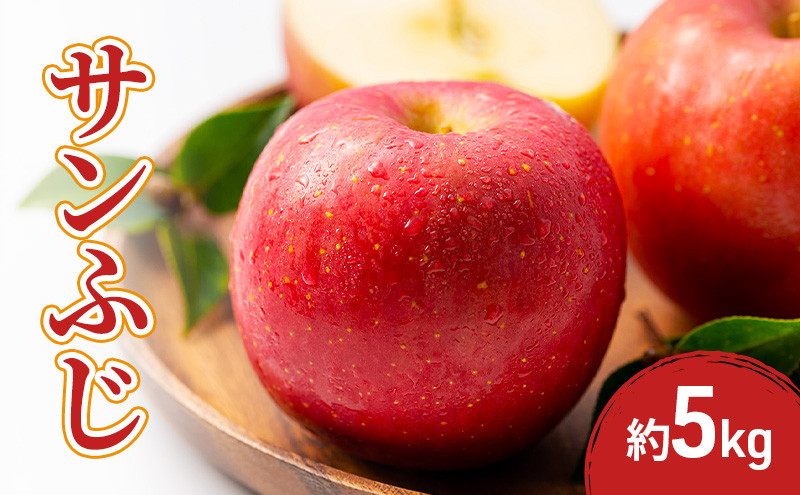 2026年産先行予約サンふじ&nbsp;5kg&nbsp;果物&nbsp;フルーツ&nbsp;りんご&nbsp;長野県