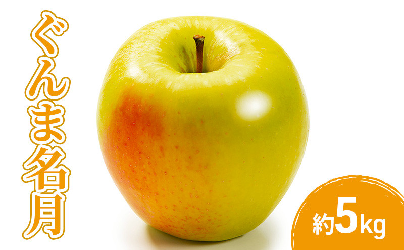 2026年産先行予約ぐんま名月5kg&nbsp;果物&nbsp;フルーツ&nbsp;りんご&nbsp;長野県