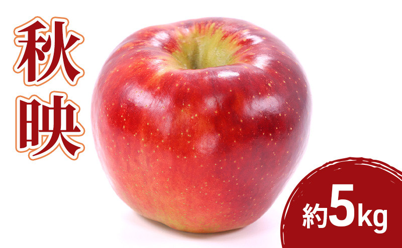 2026年産先行予約秋映&nbsp;5kg&nbsp;果物&nbsp;フルーツ&nbsp;りんご&nbsp;長野県