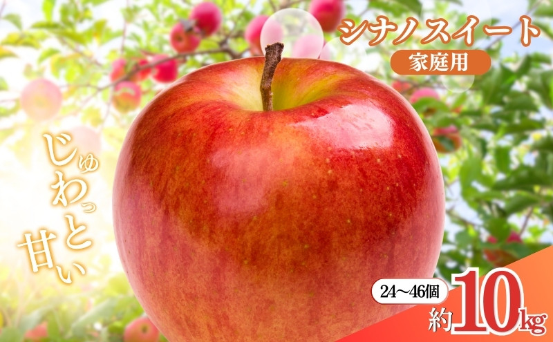 長野県&nbsp;長野市産&nbsp;シナノスイート&nbsp;家庭用&nbsp;10kg(24～46玉)サイズふぞろい【2026年10月下旬頃発送予定】(矢島農園)