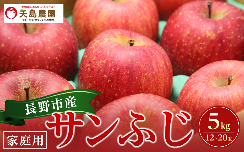 長野県&nbsp;長野市産&nbsp;サンふじ&nbsp;家庭用&nbsp;5kg(12～20玉)【2026年12月中旬頃～発送予定】(矢島農園)