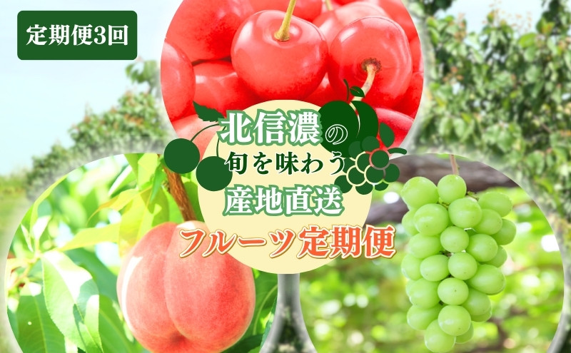 長野県&nbsp;長野市産&nbsp;☆季節のフルーツ☆7月～9月連続お届け　さくらんぼ・桃・シャインマスカット※オンライン限定　(矢島農園)