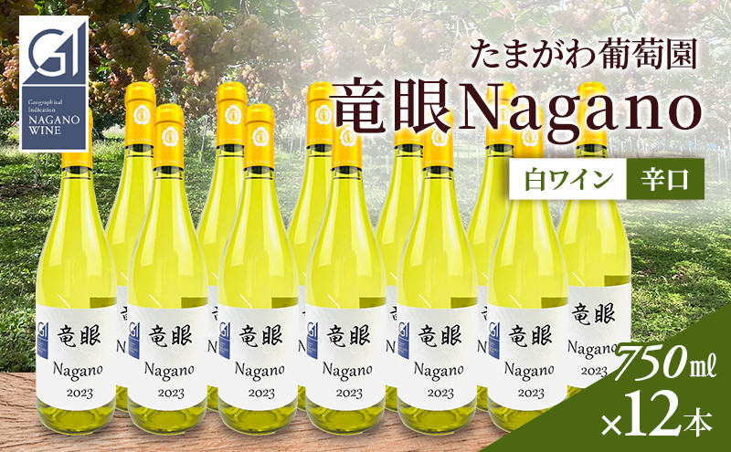 ワイン　竜眼Nagano　【GI長野】認定　750ｍｌ×12本
