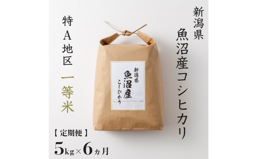 【&nbsp;定期便】&nbsp;5kg&nbsp;×&nbsp;6ヶ月&nbsp;特A&nbsp;一等米&nbsp;魚沼産&nbsp;コシヒカリ&nbsp;令和7年産　新潟　新潟県　こしひかり　魚沼　特A地区　5キロ　頒布会