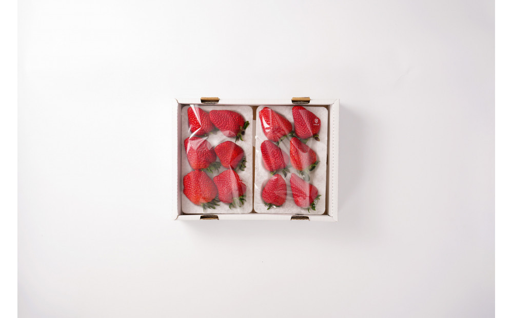 いちご　紅ほっぺ　特大いちご600g～700ｇ（1箱）